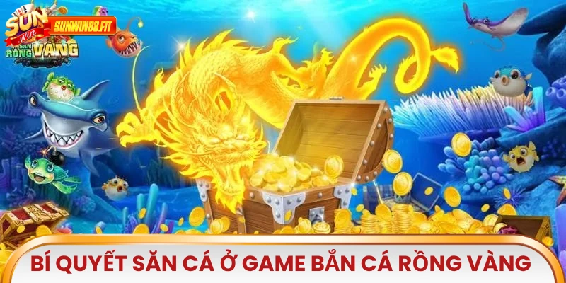 Bí quyết săn cá ở game Bắn Cá Rồng Vàng đổi thưởng