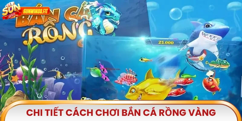 Chi tiết cách chơi Bắn Cá Rồng Vàng